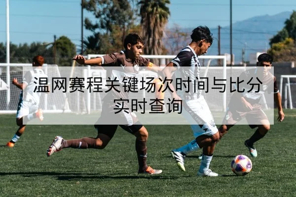德甲球队中场控球率与关键传球转化率解读